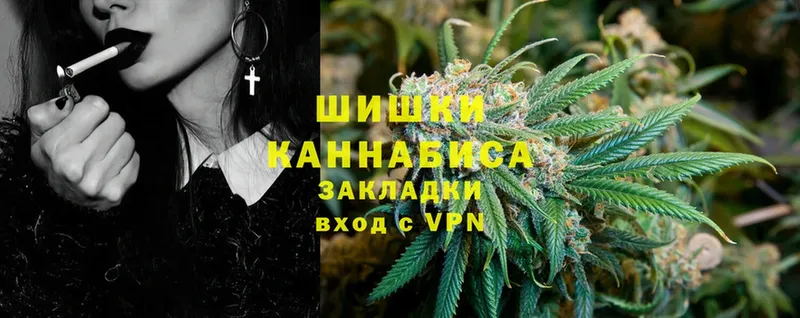 Конопля OG Kush  Отрадное 